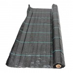 Folie Agrotextila Ruris 100200 2 x 100 m