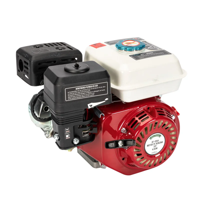 Produs Motor pe benzina 7,0HP Imagine